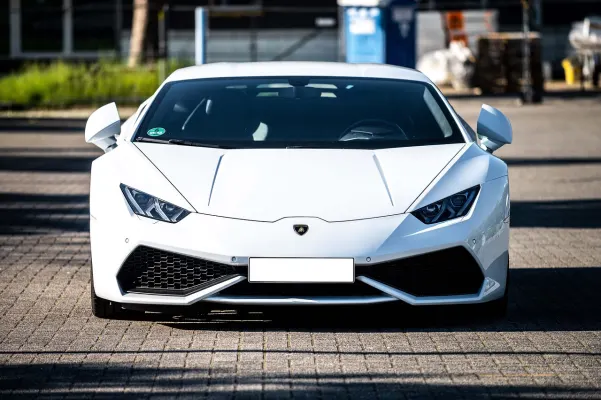 Casino Dogs Fortune App Android/iOS